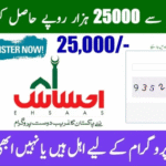 8171 Check Online CNIC – Complete Guide 2025