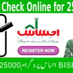 How to Perform an 8171 Check Online for 25000