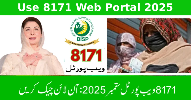How to Use 8171 Web Portal 2025 to Check Your 13500 Payment Online Easily