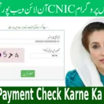 8171 Payment Check Karne Ka Tarika