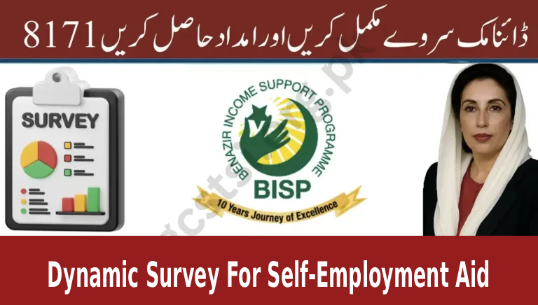 BISP 8171 Empowers Women in 2025 with Dynamic Survey For Self-Employment Aid
