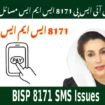 BISP 8171 SMS Issues Step-by-Step Help to Receive 8171 Payments Easily