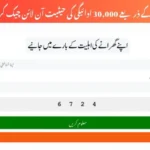 BISP 8171 Web Portal September 2025