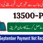 BISP September Payment Not Received