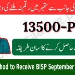 Easy Method to Receive BISP September Payment in JazzCash and Easypaisa