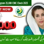 Ehsaas Program 25,000 CNIC Check 2025