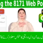 Using the 8171 Web Portal