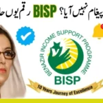 What to Do If Your 8171 BISP Payment Message Is Not Received