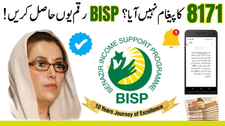 What to Do If Your 8171 BISP Payment Message Is Not Received