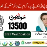 NADRA Biometric BISP Cash Payments