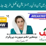 Ehsaas Program New Online Registration 2025