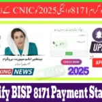 How to Safely Verify BISP 8171 Payment Status Online with CNIC in 2025