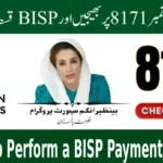 How to Perform a BISP Payment Check