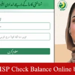 How to Easily BISP Check Balance Online by CNIC in Pakistan