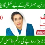 8171 Ehsaas Program 25000 BISP – Complete Guide 2025