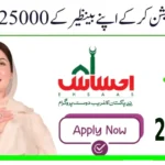 Ehsaas Program 25000 Verification