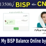 How Can I Check My BISP Balance Online by CNIC?