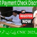 BISP 8171 Payment Check Discreet 2025