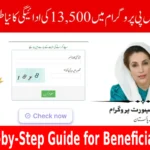 BISP 8171 Payment 2025 Check Your Money Online Easily
