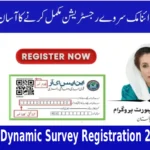 BISP Dynamic Survey Registration 2025