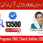 Ehsaas Program CNIC Check Online 25000 2025
