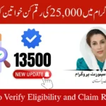 Ehsaas Program CNIC Check Online 25000 Web Portal