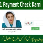 8171 Payment Check Karni Hai