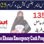 How to Apply for Ehsaas Emergency Cash Program 2025?
