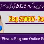 How to Apply for Ehsaas Program Online Registration?
