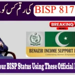 How to Check Your BISP Status Using These Official Methods in 2025