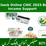 8171 Check Online CNIC 2025 Benazir Income Support