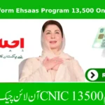 How to Easily Perform Ehsaas Program 13,500 Online Check with Code 8171 in Pakistan