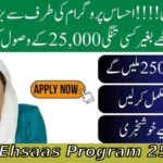 8171 Ehsaas Program 25000 BISP CNIC Check Online – Easy Guide to Verify Your Payment Status