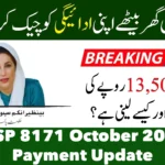 BISP 8171 October 2025 Payment Update