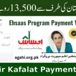 Benazir Kafalat Payment 2025: Check Rs. 13,500 Status and Eligibility Easily