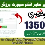 BISP 8171 Payment 2025 — How to Check Your Payment Online or by SMS Easily