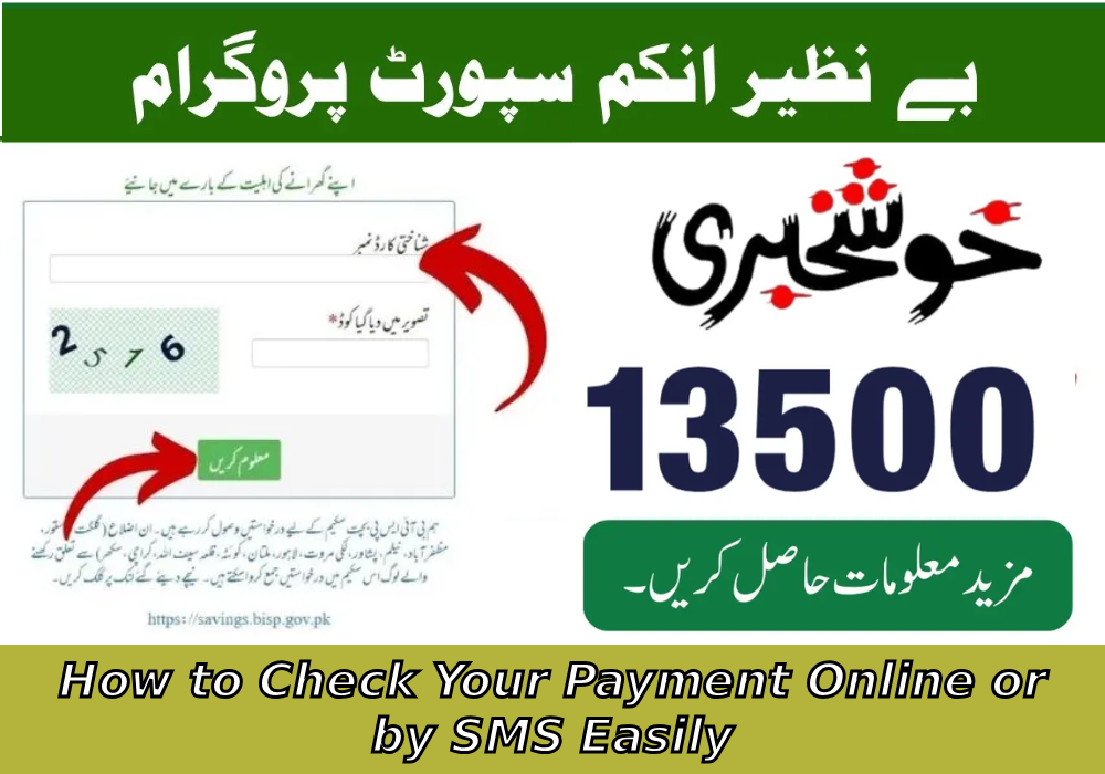 BISP 8171 Payment 2025 — How to Check Your Payment Online or by SMS Easily