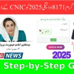 How Can I Check My CNIC Holder Payment Status in BISP?