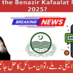 What is the Benazir Kafaalat Payment 2025? A Complete Guide