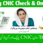 Easy CNIC Check & Online Application Guide for 2025