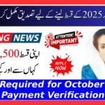 BISP 8171 Tehsil Office Visit Required for October 2025 Payment Verification
