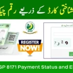 How to Check BISP 8171 Payment Status and Eligibility in Pakistan