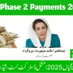 BISP Phase 2 Payments 2025