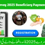BISP Survey 2025 Beneficiary Payment 13500