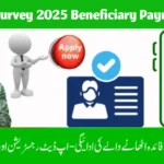 BISP Survey 2025 Beneficiary Payment