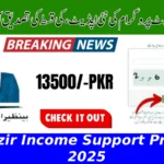 Benazir Income Support Program 2025