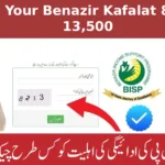Check Your Benazir Kafalat 8171 Rs 13,500 Payment Online 2025