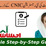 How Do I Check My Ehsaas Kafalat Program in 2025?