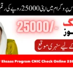 Benazir Ehsaas Program CNIC Check Online 25000