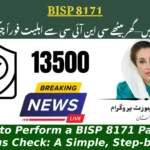 How to Perform a BISP 8171 Payment Status Check: A Simple, Step-by-Step Guide